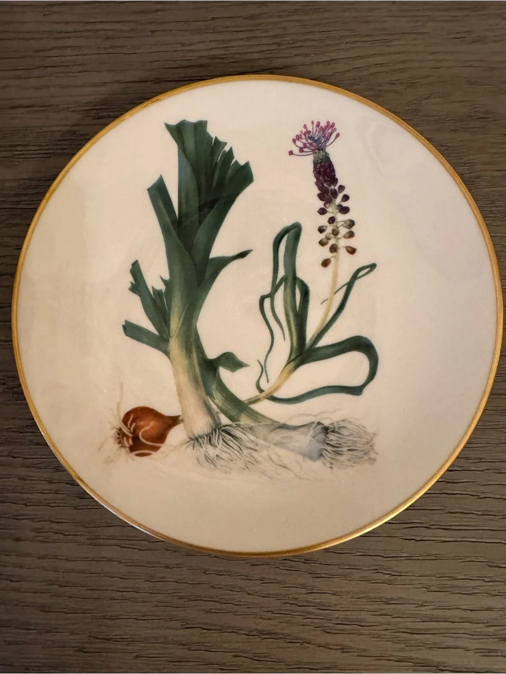 Vintage Gorham Fine China plates set of two
